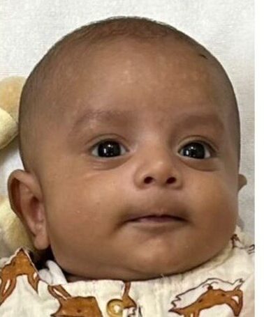 Home untitled design (1)